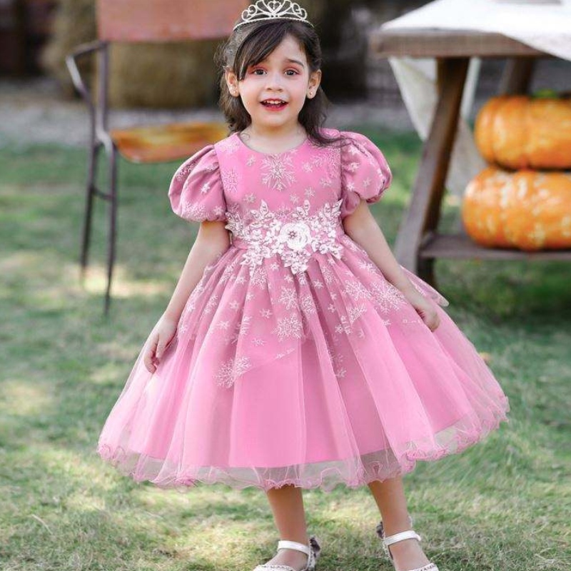 Baige Baby Girl Frocks Design Short Sleeve Performance Dance Dress Children\'s Party Wear Gown L2028XZ